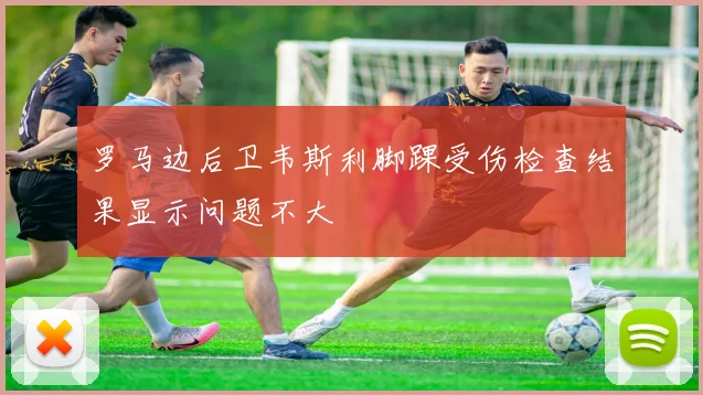 罗马边后卫韦斯利脚踝受伤检查结果显示问题不大