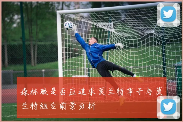 森林狼是否应追求莫兰特华子与莫兰特组合前景分析